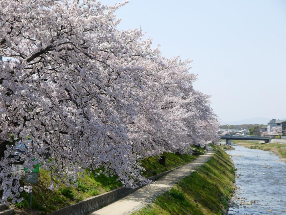 Hanare Kyoto Chogeikan Quioto Exterior foto